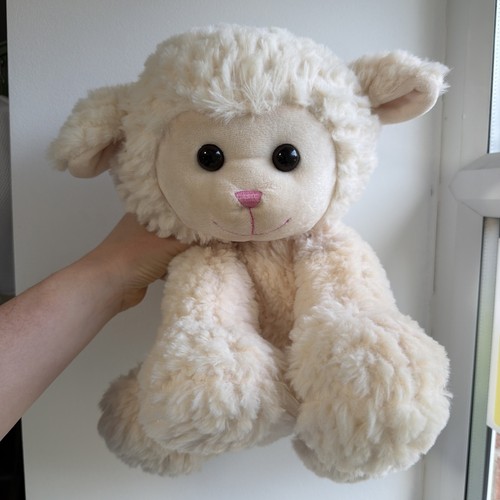 Asda lamb sheep - asda,