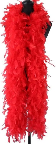 Feather boa for fancy dress - feather,