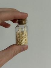 Mole Bone Vial Curio Shelf /