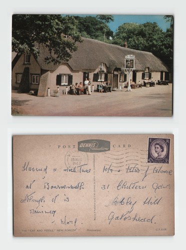 Postcard the cat - cat, fiddle
