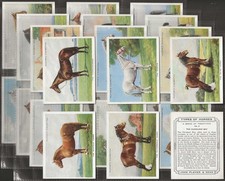 Players full set types - set-, of