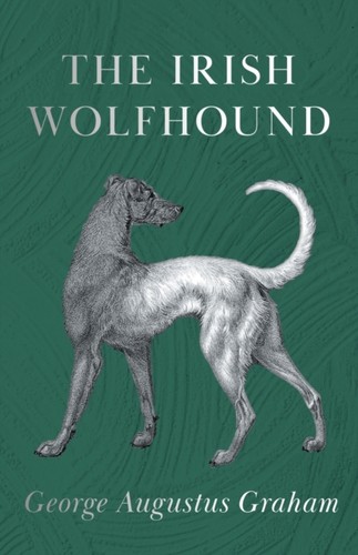 Graham irish wolfhound - graham, new
