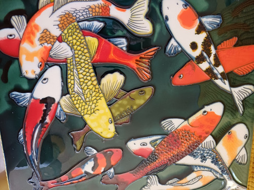 Stunning koi carp - carp, in