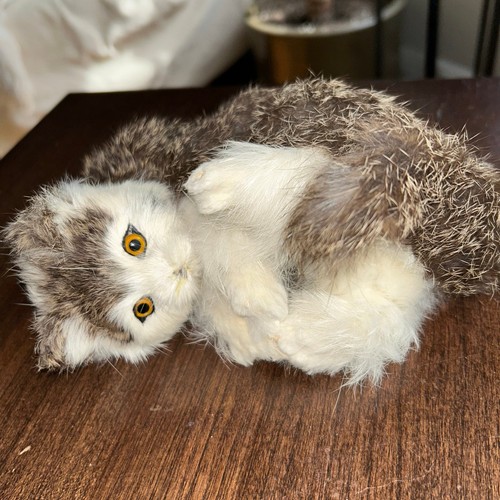 Vintage real animal fur - animal,