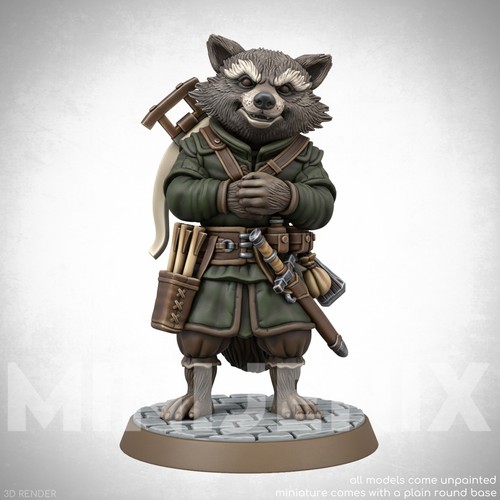 Raccoon rogue fantasy animal - rogue,