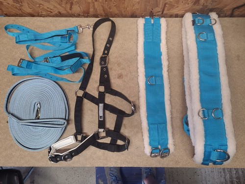 Lunging joblot full size - joblot,full,