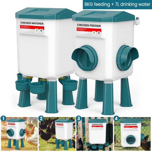 Large automatic chicken - large, feeder