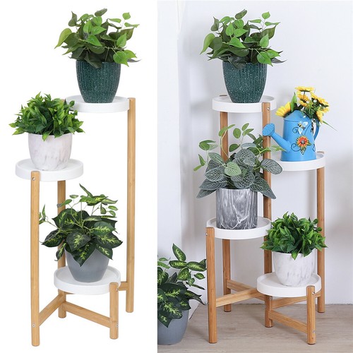 Indoor corner bamboo - indoor,