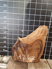 ITALIAN WALNUT LIVE EDGE SLAB