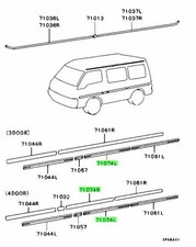 OEM MOULDING,RR DOOR