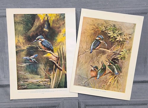 Pair antique 1920 kingfisher - antique,