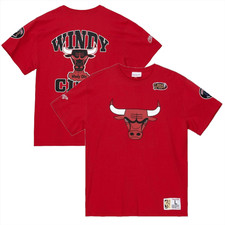 Chicago bulls men shirt - men's, t-shirt