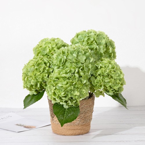 Duhouse real touch green - real,