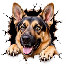 PEEKING GERMAN SHEPHERD Vinyl