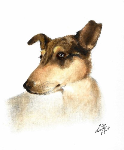 Original oil dog portrait - ✤,