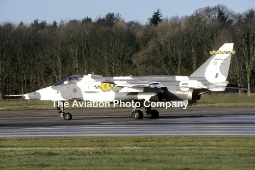 Raf squadron sepecat jaguar - sepecat,