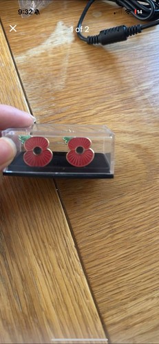 Remembrance day poppy - remembrance,