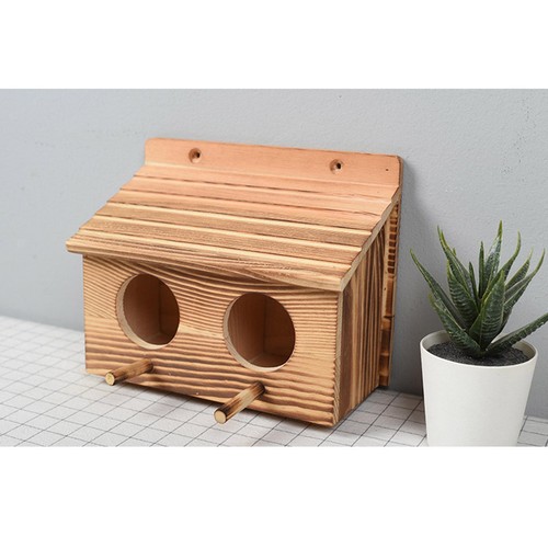 Wooden squirrel feeder bird - squirrel,