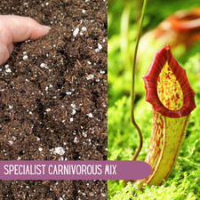 PITCHER PLANT COMPOST With Perlite - Carnivorous Potting & Substrate Mix