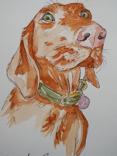 Original hand drawn pen - &, ink