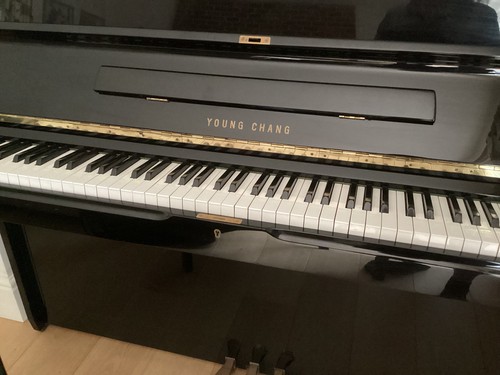 Young chang black - black, piano