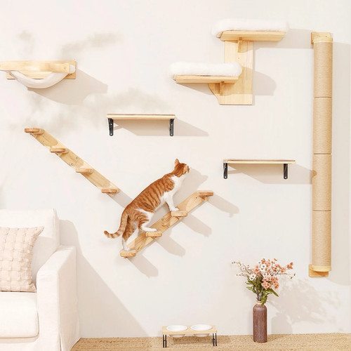 Cat wall climbing - climbing, hammock