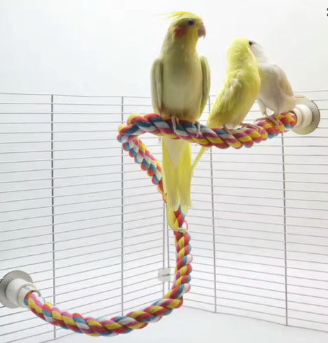 Bird molar toy durable cotton - bird,