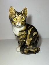 Winstanley Tabby & White Cat