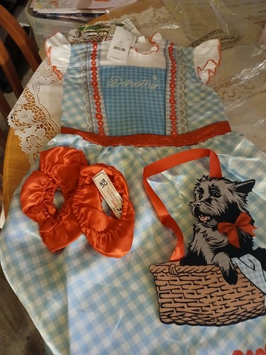 Wizard dorothy costume - wizard,