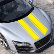 2x Racing Stripe Vinyl