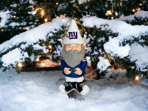 Team sports america - team, nfl