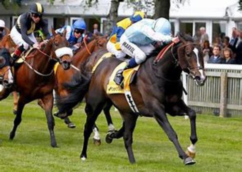 Summer horse racing system - summer,