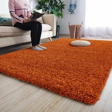 Thick Large Shaggy Rugs