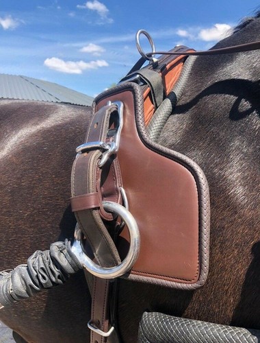 Ideal equestrian driving - equestrian,