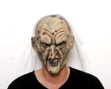 Scary Zombie Witch Halloween