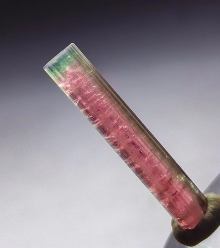 Watermelon tourmaline crystal - tourmaline,