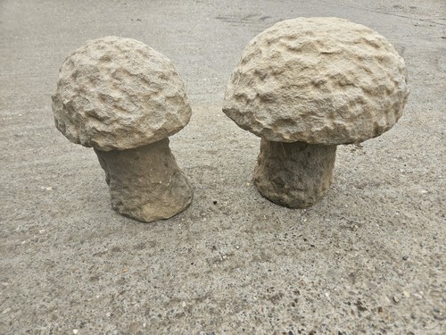 Sandstone mushrooms - sandstone, mushrooms.