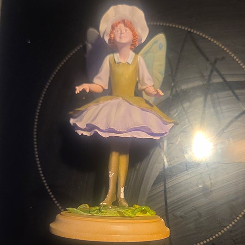 The enchanted world - the, fairies