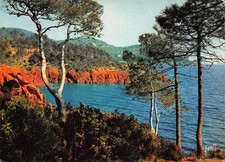83-LE MASSIF DE L ESTEREL-N�