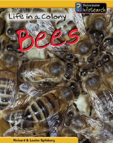Life colony of bees - in,