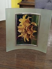 VTG 80s Curved Frosted Glass