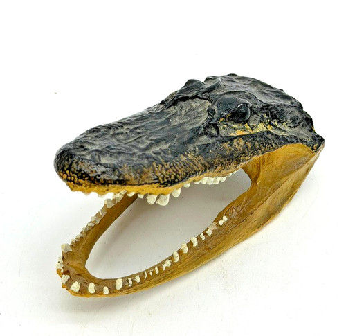Alligator gator head 6 - gator, 6"