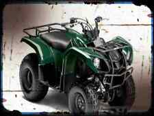 A4 photo motorbike grizzly 125 automatic