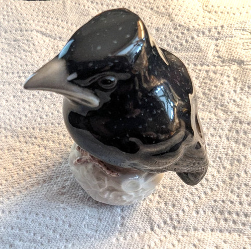 Rosenthal bird starling - rosenthal,