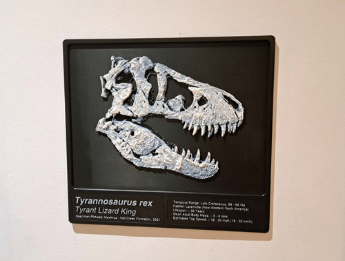 Tyrannosaurus rex skull - tyrannosaurus rex, wall
