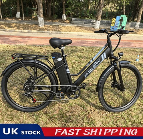 Adult electric bike - adult,