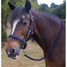 Gallop Premium Lined Adjustable Head Collar Navy with Navy Leadrope