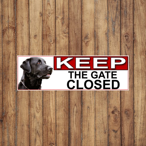 Black labrador keep - black,