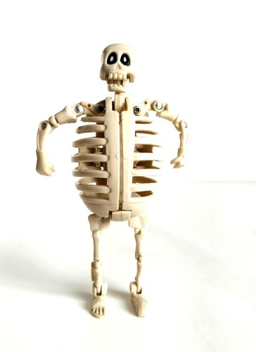 Tamagoras skeleton meteorb egg - skeleton,
