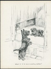SCOTTISH TERRIER MOTHER AND PUPPIES LOVELY OLD 1937 DOG ART PRINT by KF BARKER